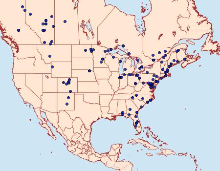 Distribution Data for Trichopolia oviduca