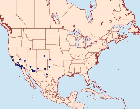 Distribution Data for Trichopolia melanopis