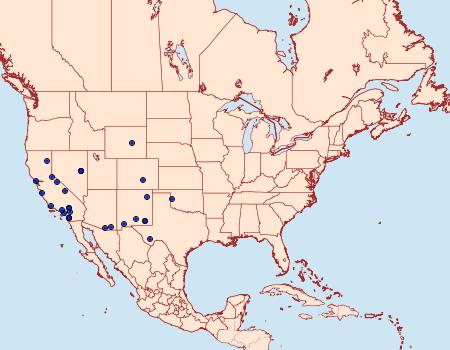 Distribution Data for Ulolonche dilecta