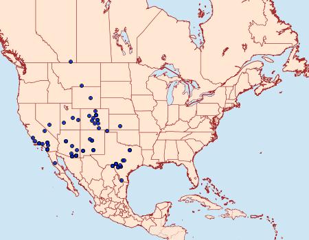 Distribution Data for Ulolonche disticha