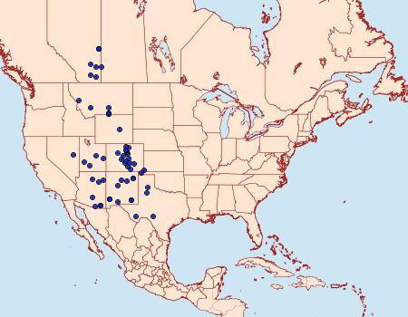 Distribution Data for Ulolonche orbiculata