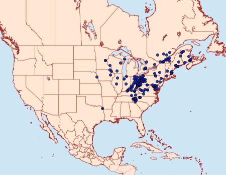 Distribution Data for Pseudorthodes vecors