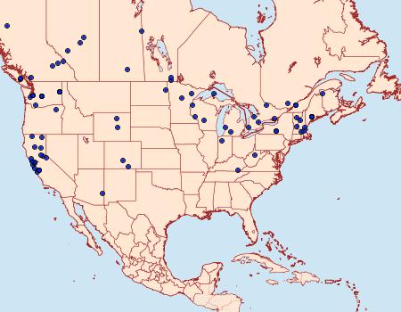 Distribution Data for Polix coloradella