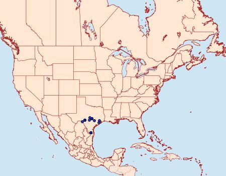 Distribution Data for Orthodes furtiva