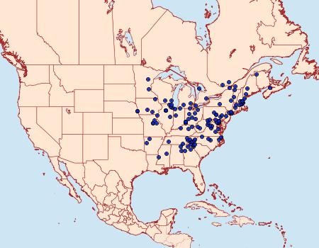 Distribution Data for Mathildana newmanella