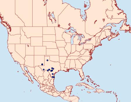 Distribution Data for Hexorthodes serrata