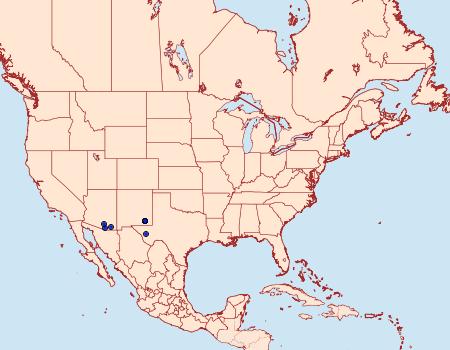 Distribution Data for Hexorthodes inconspicua