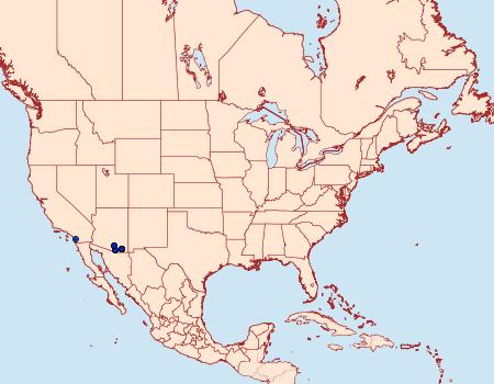 Distribution Data for Hypotrix lunata