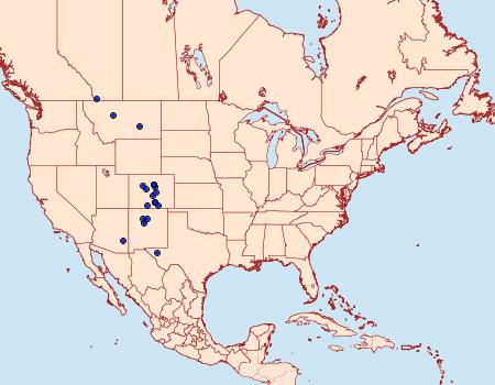 Distribution Data for Hydroeciodes serrata