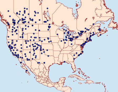 Distribution Data for Agrotis vetusta