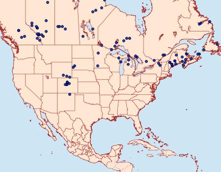 Distribution Data for Feltia mollis