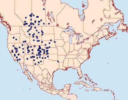 Distribution Data for Agrotis orthogonia