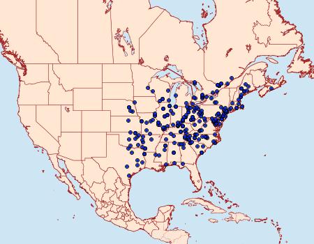 Distribution Data for Agrotis gladiaria