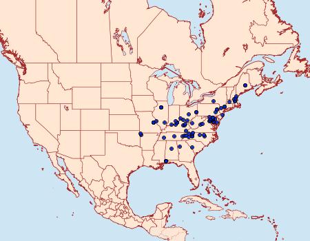 Distribution Data for Martyringa latipennis