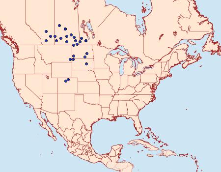 Distribution Data for Agrotis robustior