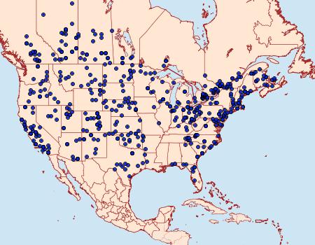 Distribution Data for Agrotis venerabilis