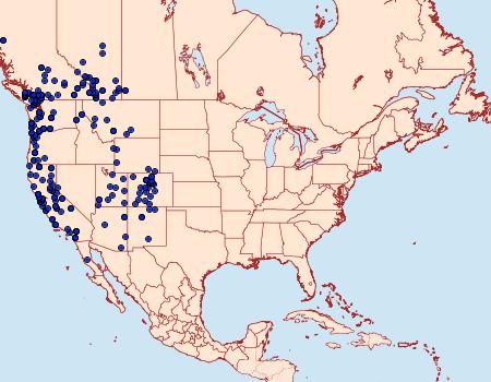 Distribution Data for Agrotis vancouverensis