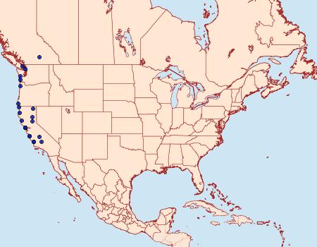 Distribution Data for Agrotis gravis