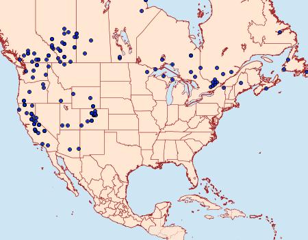 Distribution Data for Agrotis obliqua