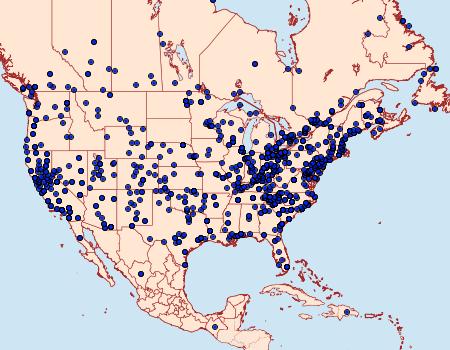 Distribution Data for Agrotis ipsilon