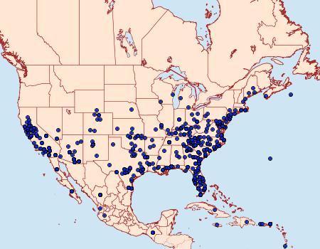 Distribution Data for Feltia subterranea