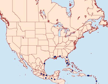 Distribution Data for Feltia repleta