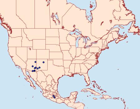 Distribution Data for Dichagyris triphaenoides