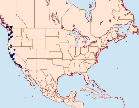 Distribution Data for Endrosis sarcitrella