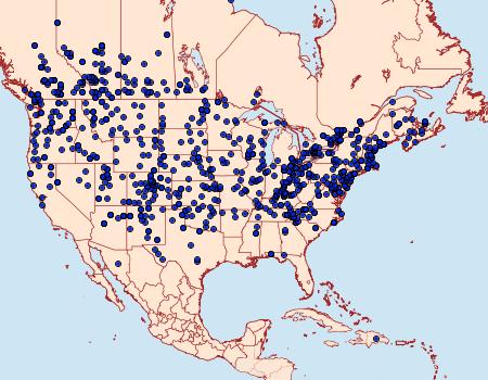 Distribution Data for Feltia jaculifera