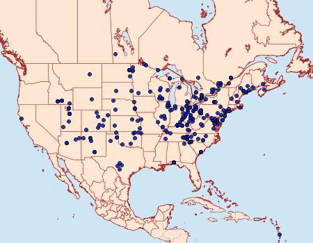 Distribution Data for Feltia subgothica