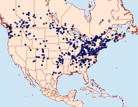 Distribution Data for Feltia herilis