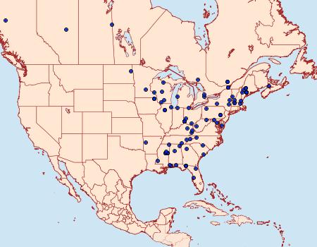 Distribution Data for Eido trimaculella