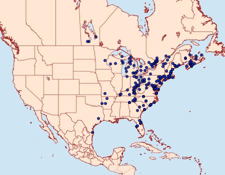 Distribution Data for Feltia geniculata