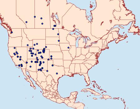 Distribution Data for Copablepharon grandis