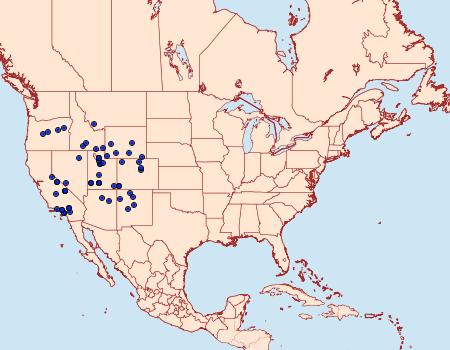 Distribution Data for Copablepharon canariana