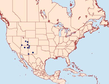 Distribution Data for Copablepharon serratigrande