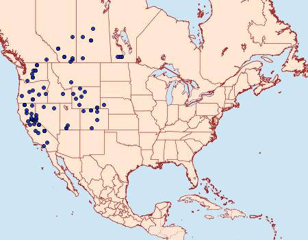 Distribution Data for Copablepharon viridisparsa