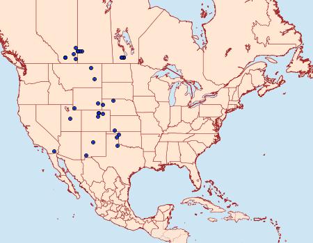 Distribution Data for Copablepharon longipenne