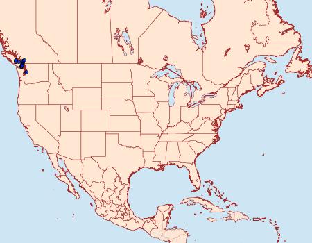 Distribution Data for Carcina quercana