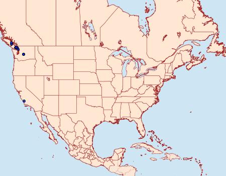 Distribution Data for Copablepharon fuscum