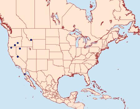 Distribution Data for Copablepharon atrinotum