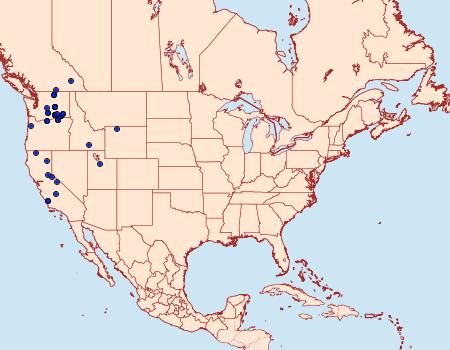 Distribution Data for Copablepharon absidum