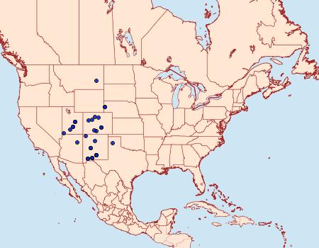 Distribution Data for Protogygia pallida