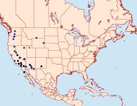 Distribution Data for Protogygia album