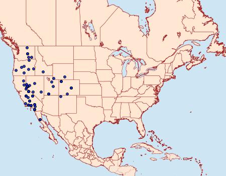 Distribution Data for Copablepharon spiritum