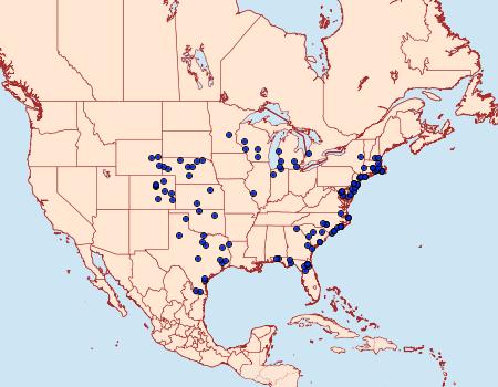 Distribution Data for Eucoptocnemis fimbriaris