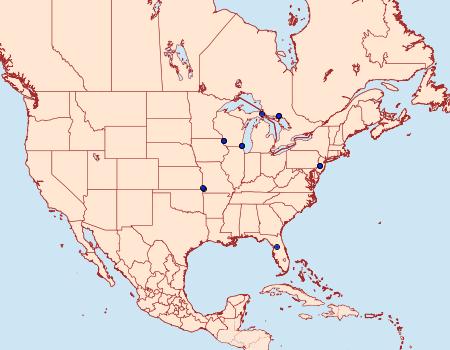 Distribution Data for Dichagyris reliqua