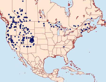 Distribution Data for Euxoa divergens