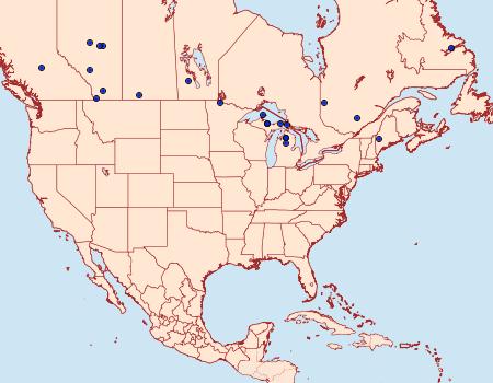 Distribution Data for Euxoa sinelinea