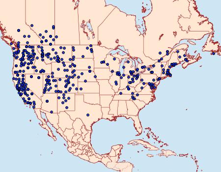 Distribution Data for Euxoa messoria